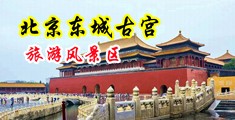 丝袜诱惑蜜穴中出中国北京-东城古宫旅游风景区